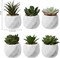 Mini Assorted Green Faux Succulent, Indoor Fake Plants in Geometric Ceramic Pots, Set of 6